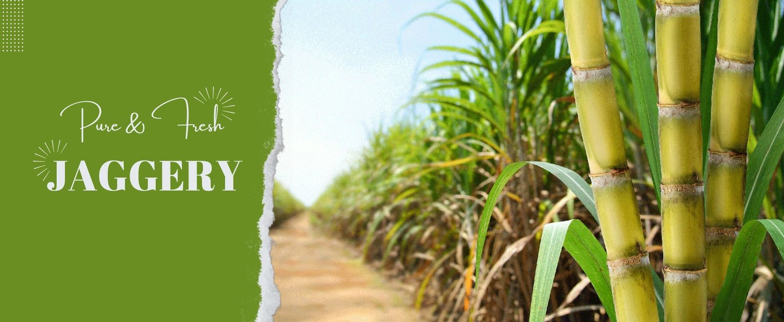 food (Banner (Landscape))